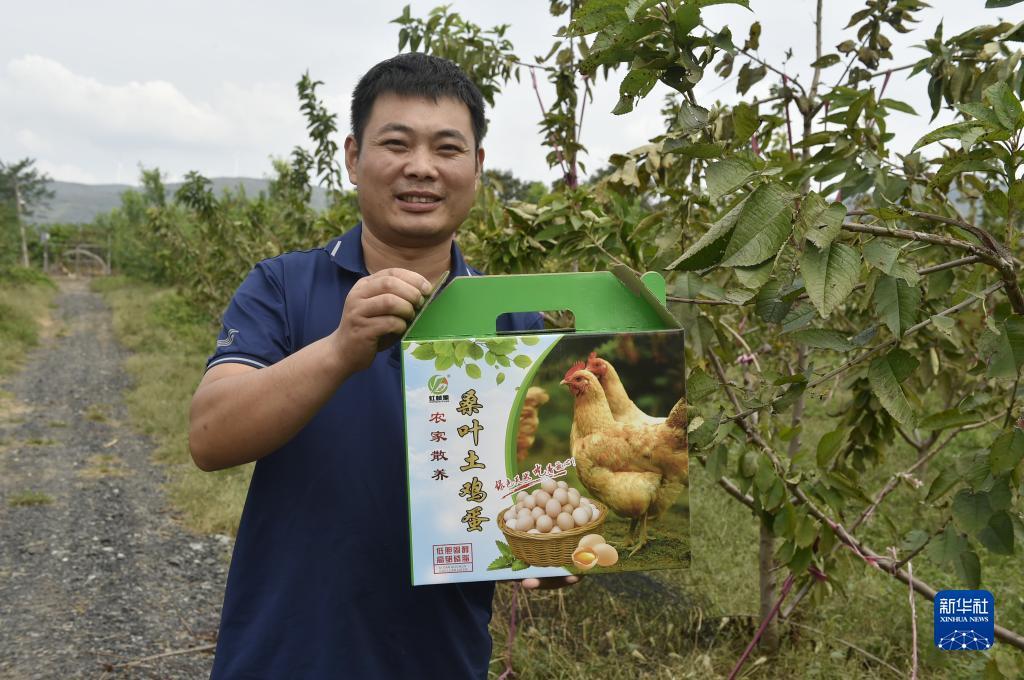 捕鱼游戏厅电脑版